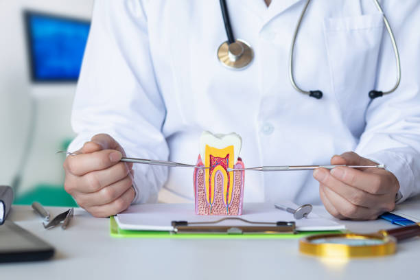 Best Emergency Tooth Extraction  in Waynesboro, PA